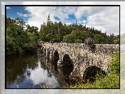 Irlandia, Hrabstwo Kerry, Wie Beaufort, Rzeka Laune, Most kamienny  Beaufort Bridge, Rzeka, Las, Drzewa