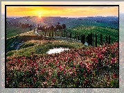 Włochy, Toskania, Wzgórza, Zachód słońca, Droga, Drzewa, Staw, Kwiatx