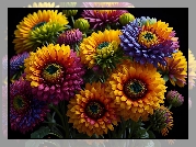 Kolorowe, Kwiaty, Chryzantemy, Kwiat