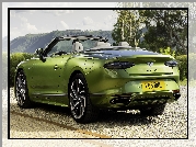 Zielony, Bentley Continental, GT, Kabriolet, Tył