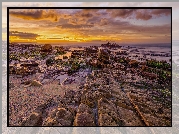 Plaża, Skały, Muizenberg, Kapsztad, Republika Południowej Afryki