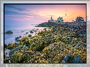 Stany Zjednoczone, Stan Massachusetts, Zatoka, Cape Cod Bay, Morze, Latarnia morska, Nobska Point Light, Skały, Wschód słońca