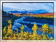 Park Narodowy Denali, Góry, Rzeka, Savage River, Drzewa, Roślinność, Jesień, Niebo, Alaska, Stany Zjednoczone