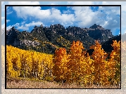 Stany Zjednoczone, Kolorado, Przełęcz, Owl Creek, Góry, San Juan Mountains, Pożółkłe, Drzewa, Topole, Osiki, Jesień