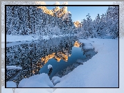 Stany Zjednoczone, Kalifornia, Park Narodowy Yosemite, Góry, Rzeka, Merced River, Zima, Drzewa